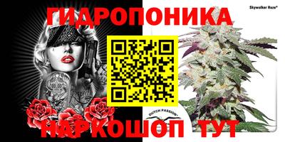 МДПВ Бийск