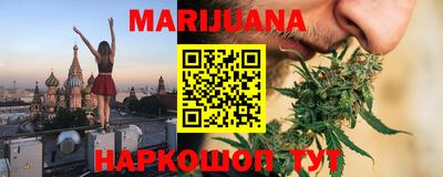 МДПВ Бийск