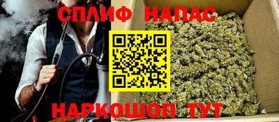 МДПВ Бийск