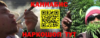МДПВ Бийск