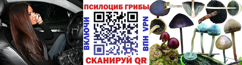 Галлюциногенные грибы Magic Shrooms  кракен рабочий сайт  Большой Камень  сколько стоит 