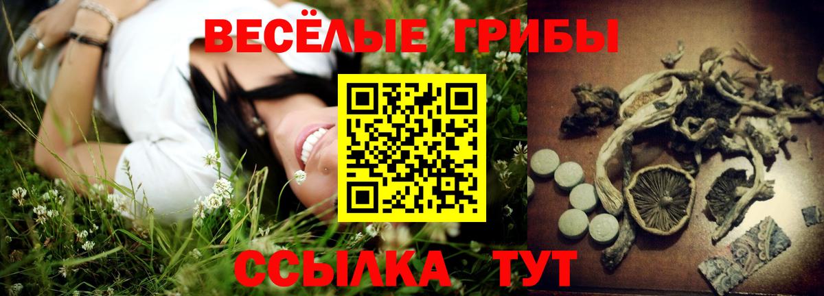 Псилоцибиновые грибы Magic Shrooms  Галлюциногенные грибы MAGIC MUSHROOMS  Большой Камень  наркота  Вход с VPN 