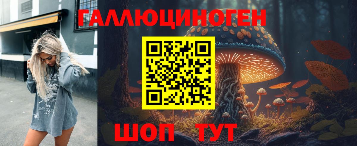 Псилоцибиновые грибы GOLDEN TEACHER  Большой Камень 